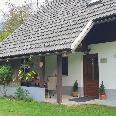 Apartment Sonce Bohinj Eksteriør bilde