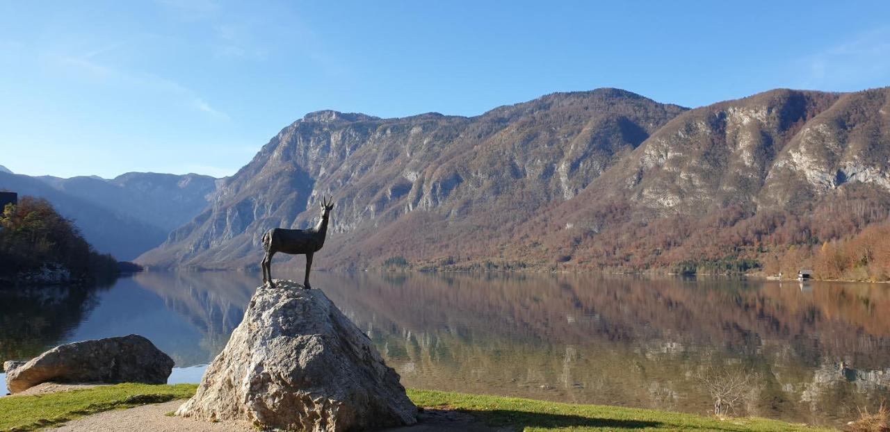 Apartment Sonce Bohinj Eksteriør bilde
