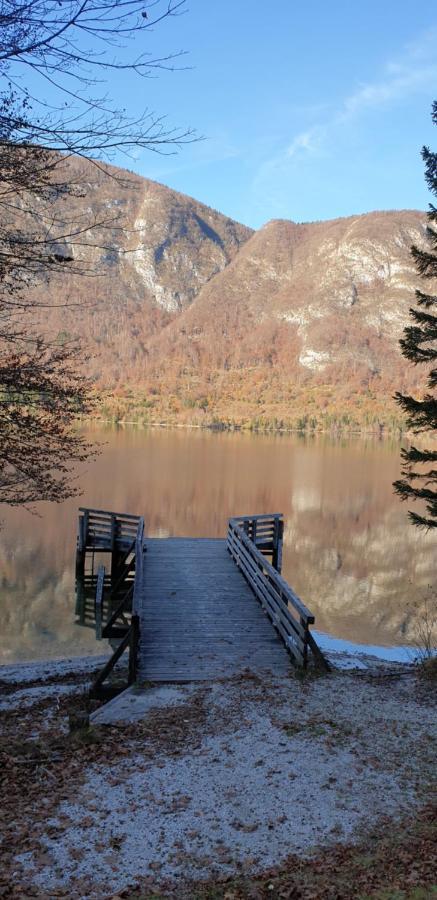 Apartment Sonce Bohinj Eksteriør bilde