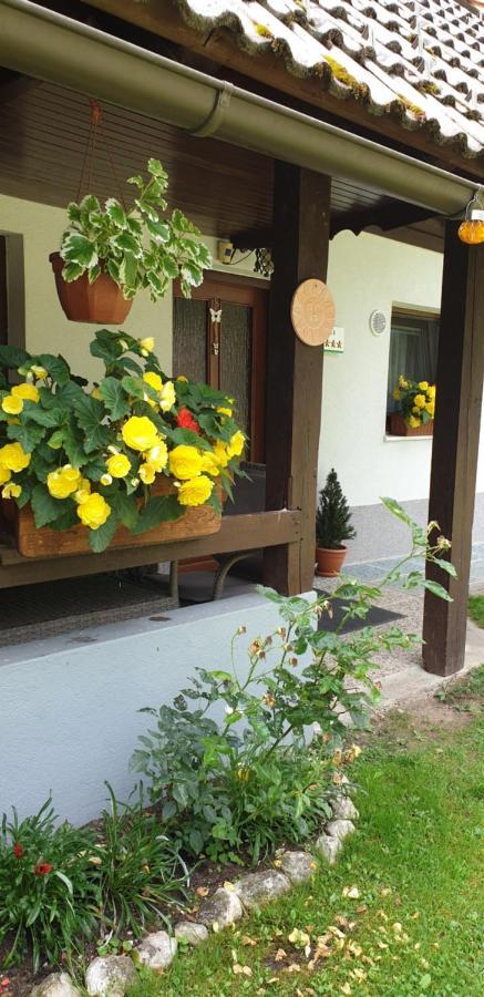 Apartment Sonce Bohinj Eksteriør bilde