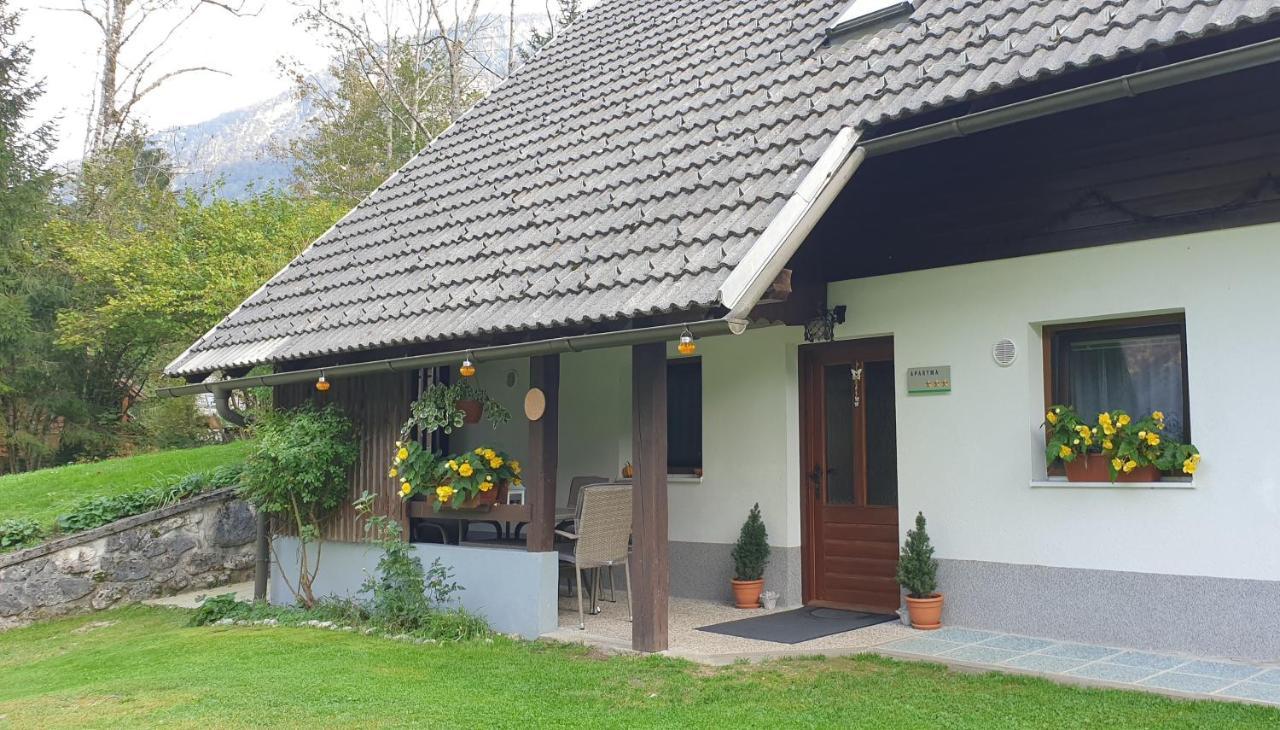 Apartment Sonce Bohinj Eksteriør bilde
